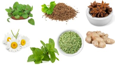 7 herbs to reduce gas